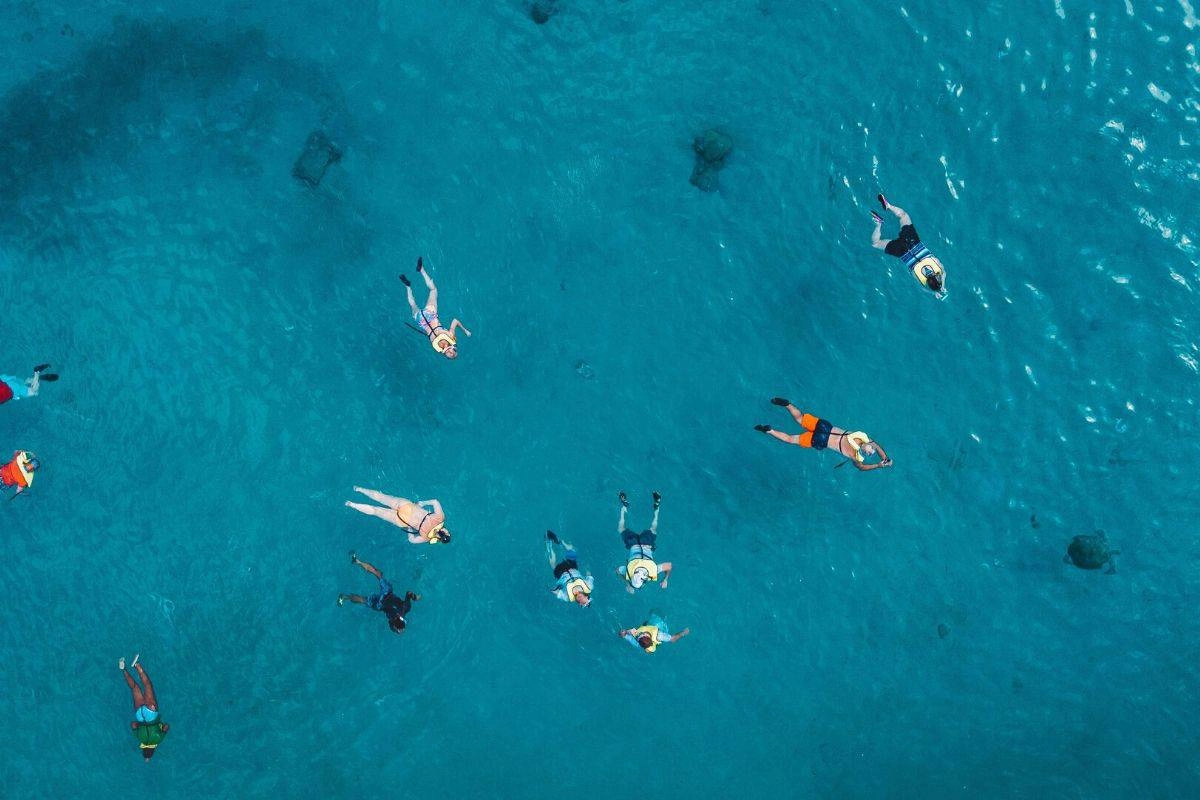 Best Snorkel Vests 2022 Buying Guide + Reviews