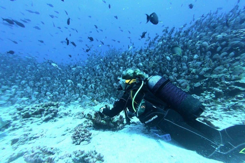 scuba diving wearing an air integrated dive computer