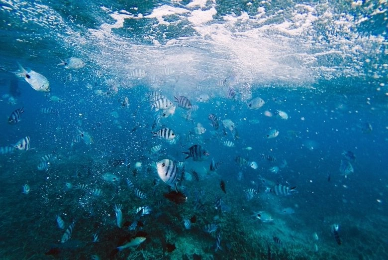 worlds best snorkeling