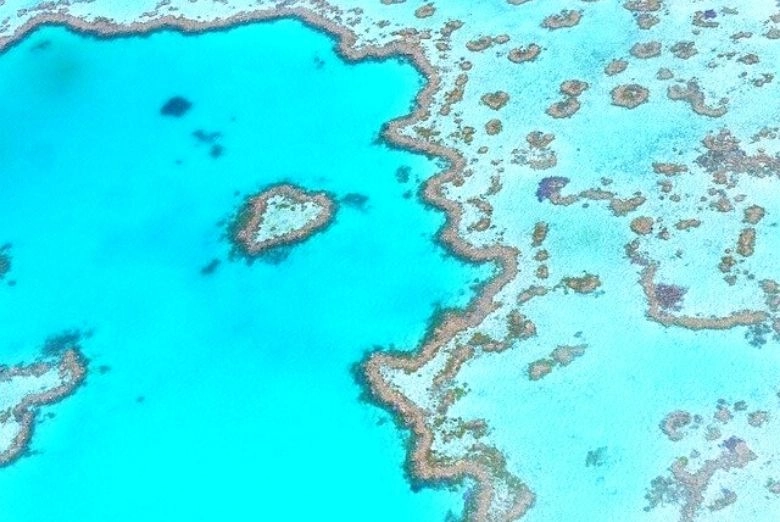 great barrier reef australia