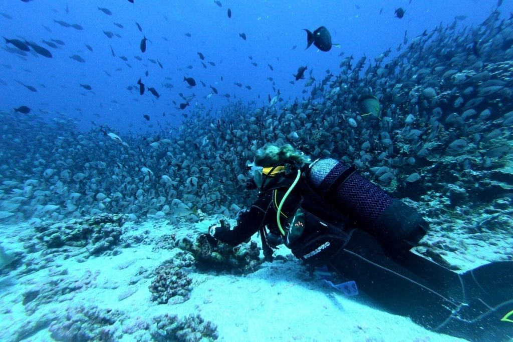 best scuba regulator